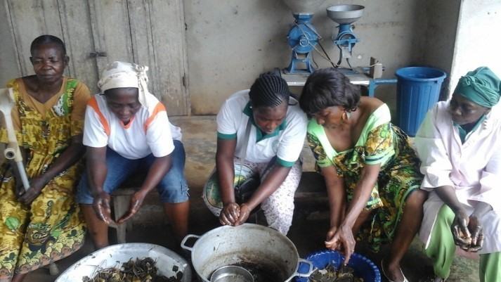 Formation pour la transformation des produits à base de plantes naturelles (Aloe Vera, citronnelle, citron, reine des herbes) pour la production de vaseline, glycérine et eau de javel.