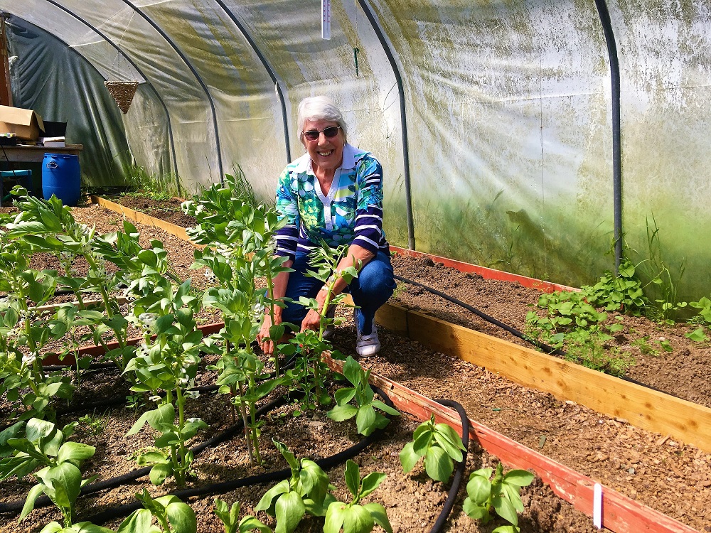 L’idée du Projet « Jardin » a émergé dans le cadre d’une réflexion engagée par Emmaüs Village Carlton sur le moyen, pour les compagnons et leur entreprise sociale, de mieux tirer profit des terres environnantes.