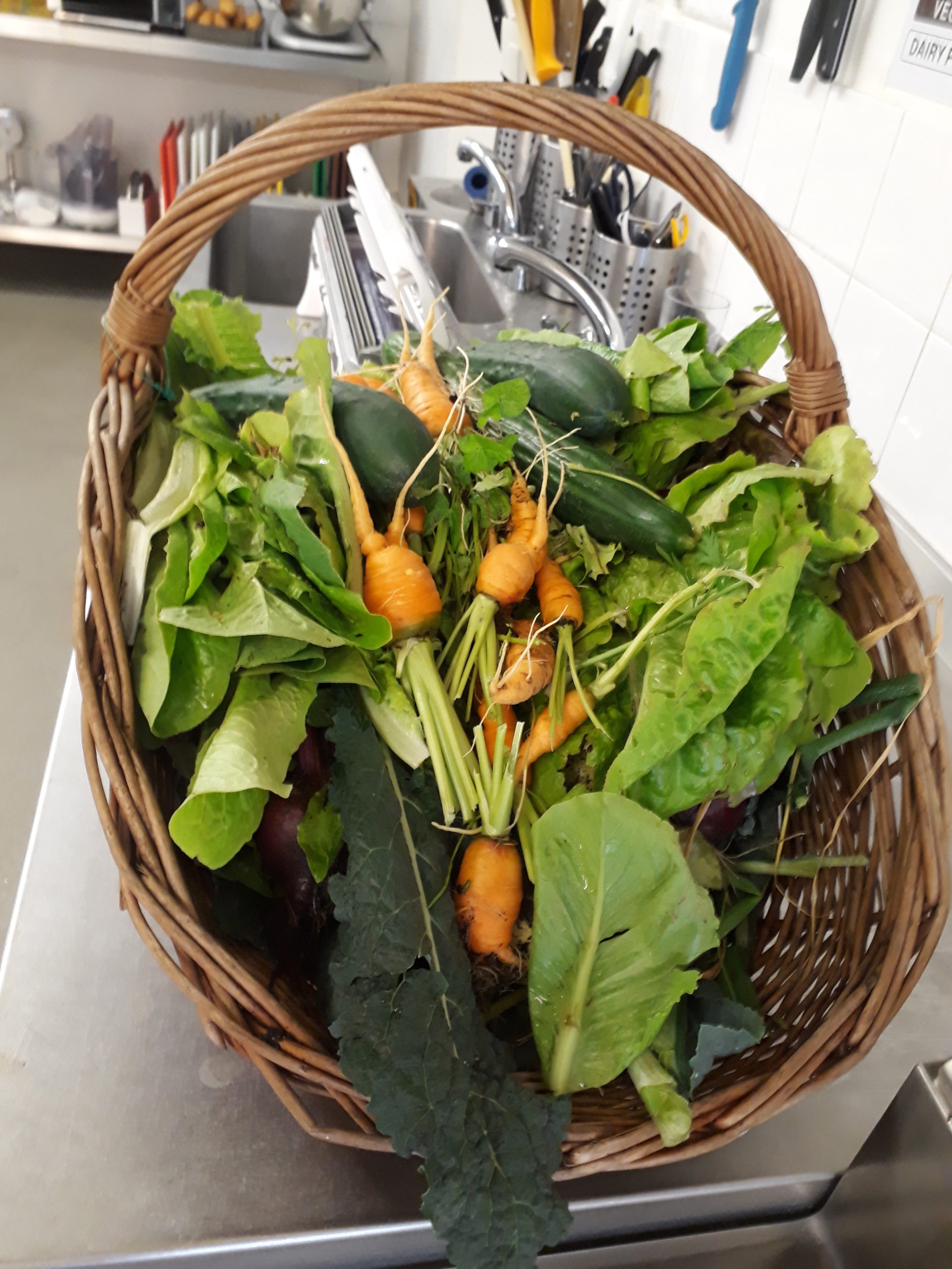 et part de la nécessité d’accroître les recettes de la communauté via la vente de paniers et de réduire nos dépenses en produisant nos propres fruits et légumes.