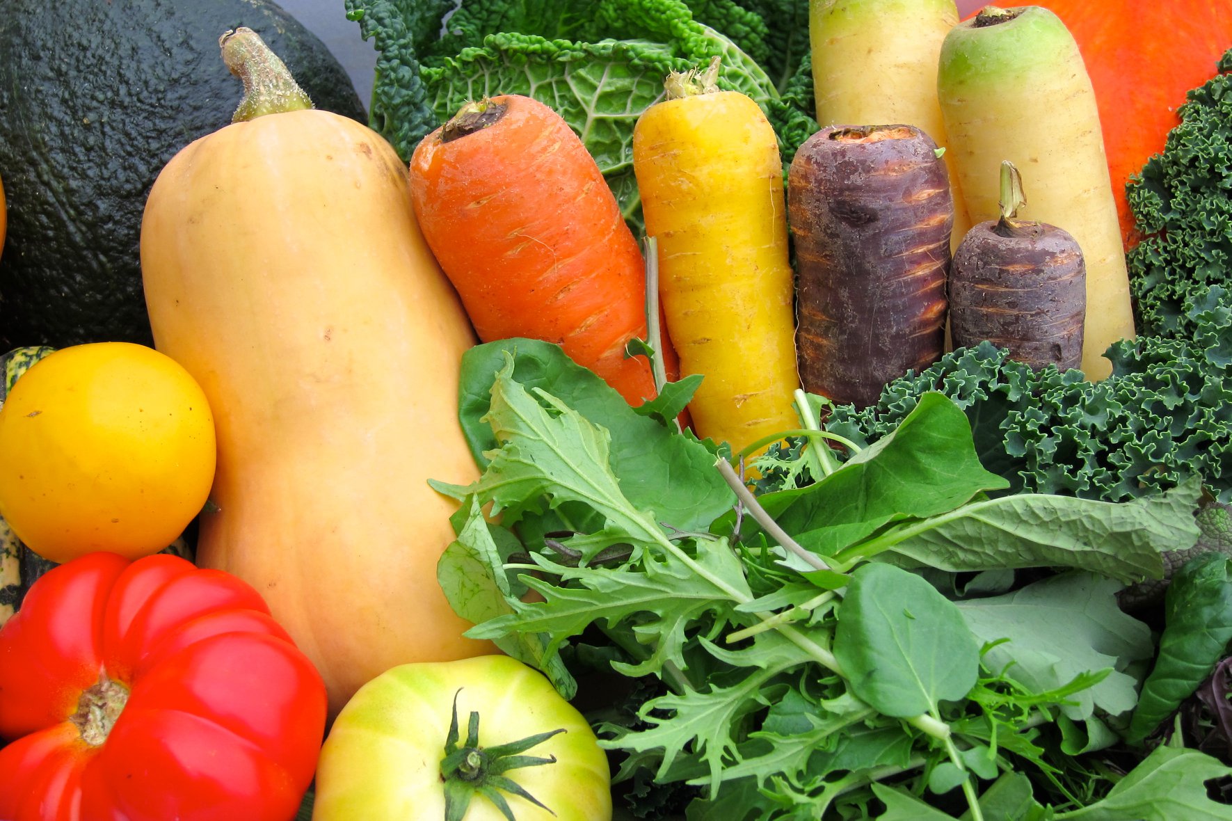 Ce projet s’inscrit par ailleurs dans la démarche d’Emmaüs Village Carlton d’être plus respectueux de l’environnement en réduisant notre dépendance à l’industrie agroalimentaire et en pratiquant l’agriculture biologique.