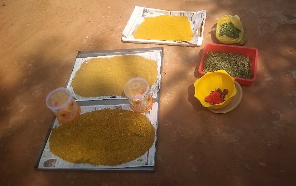 •Cette activité a permis aux femmes de dégager un revenu quotidien de 1,5 euro. •Le séchoir a été installé pour faire sécher les herbes (sauvages ou cultivées) et les légumes et améliorer la couleur et la qualité nutritionnelle du produit, tout en permettant aux femmes d’accroître leurs revenus quotidiens de 0,50 à 1 euro.