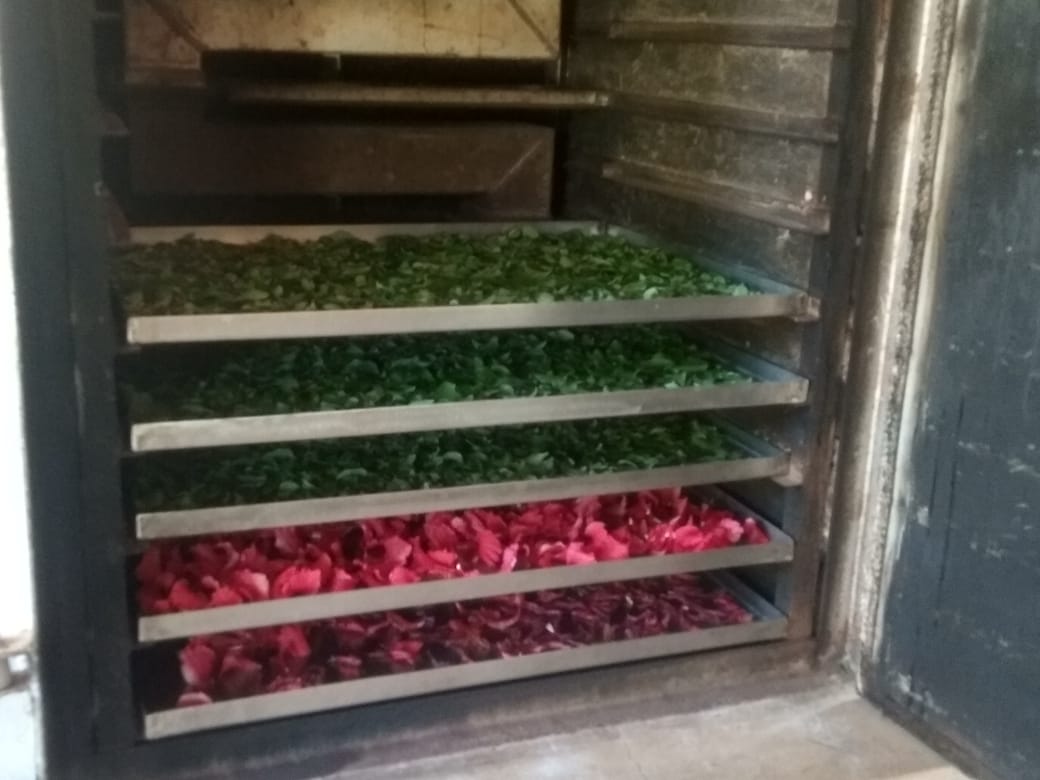 •En février 2020, la propagation de la pandémie en Inde et à travers le monde a généré une forte demande d’antiseptiques naturels et de plantes immunostimulantes.